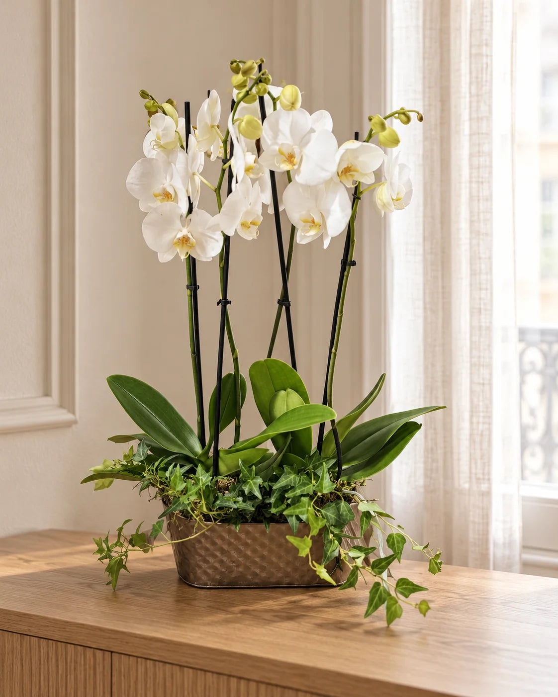 Composition d'Orchidées