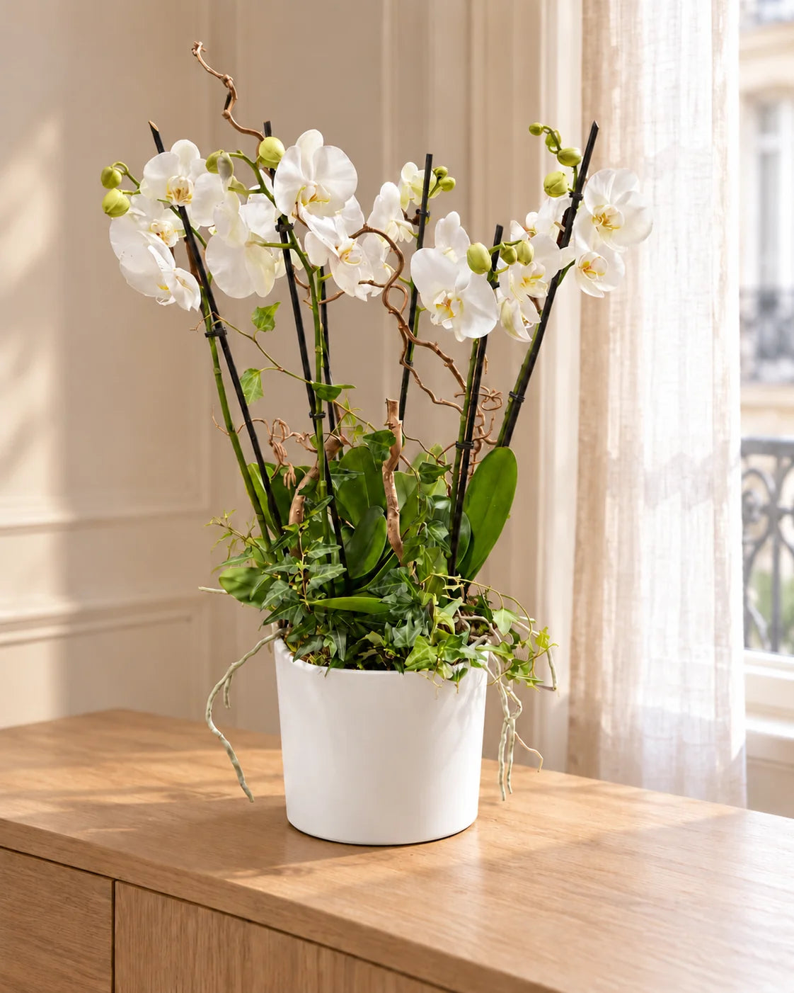 Grande Composition d'Orchidées